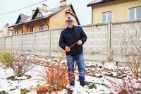 Вдоль бетонного забора возле деревни Потапово «выросла» живая изгородь